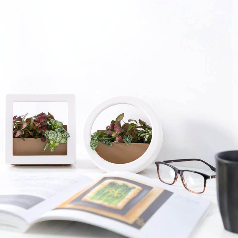 2 Pcs/Lot Wall Hanging Plant Pot - Image 5