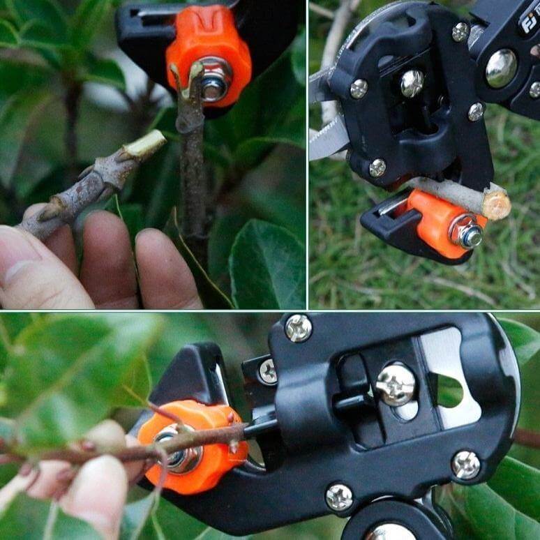3 Style Multifunctional Fruit Tree Scissor - Image 3
