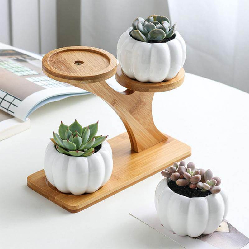 3 Tier Succulent Bamboo Vase Stand - Image 2