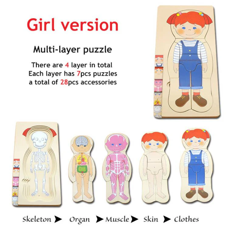 Anatomy Explorer Interactive Human Body Toy - Image 4