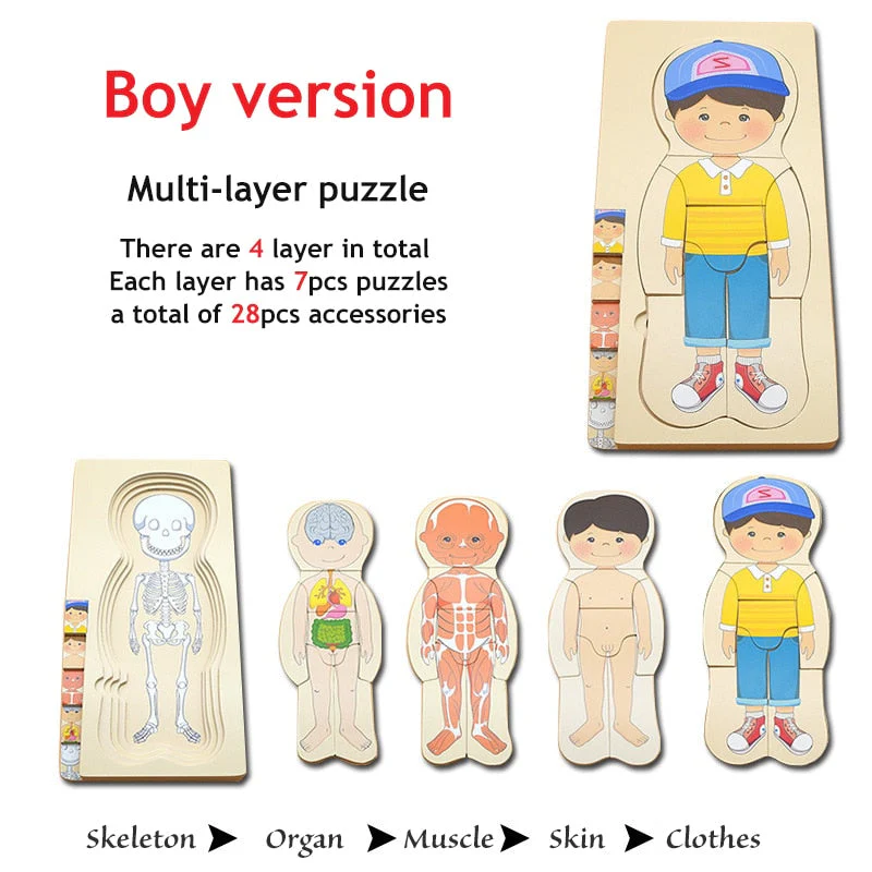 Anatomy Explorer Interactive Human Body Toy - Image 6