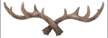 Antlers Decorated Coat Hook - Image 4