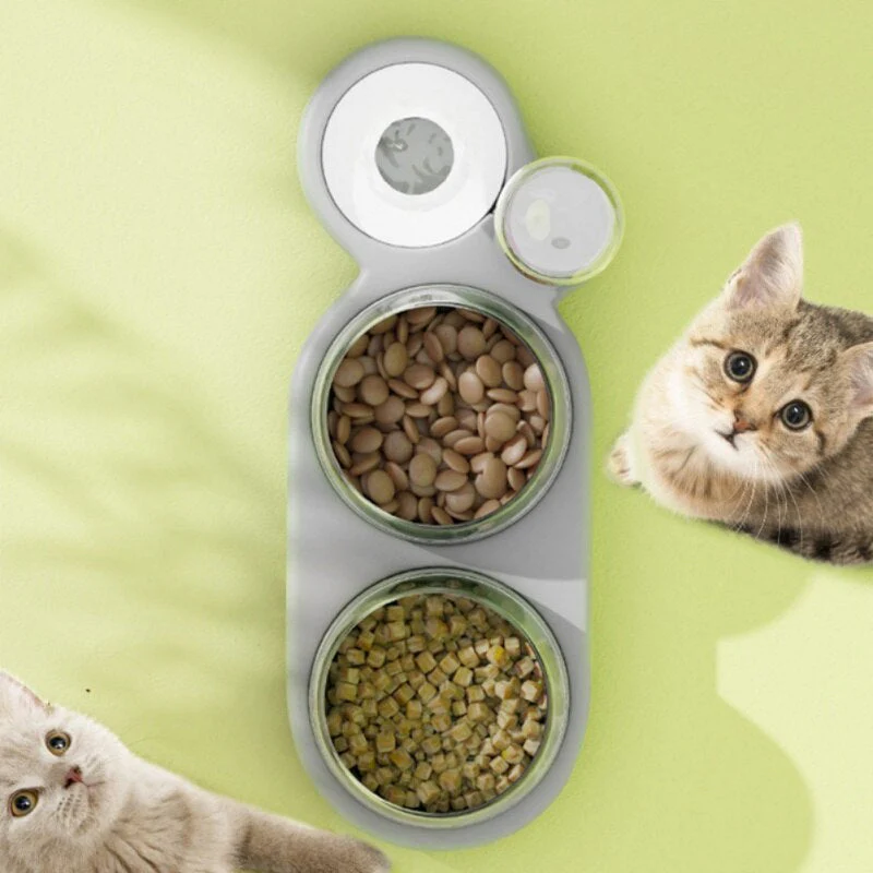 Automatic Cat Feeder Bowl Water Dispenser - Image 2