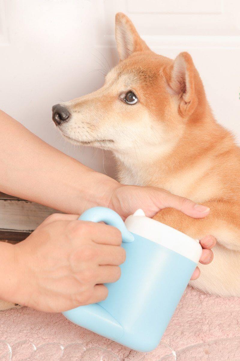 Automatic Pet Paw Washer - Image 4