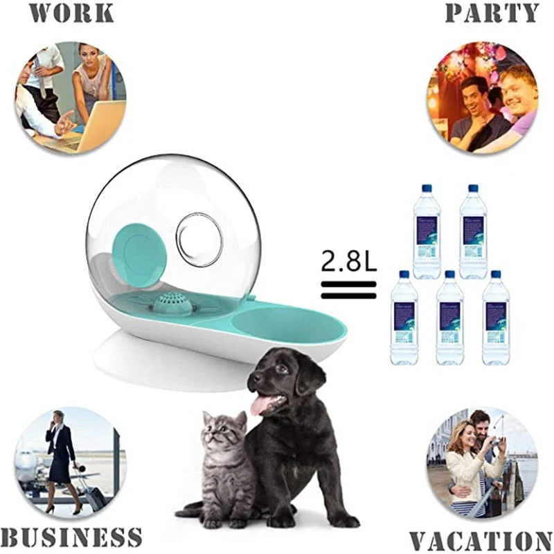 Automatic Smart Cat Water Fountain Bowl - Image 3