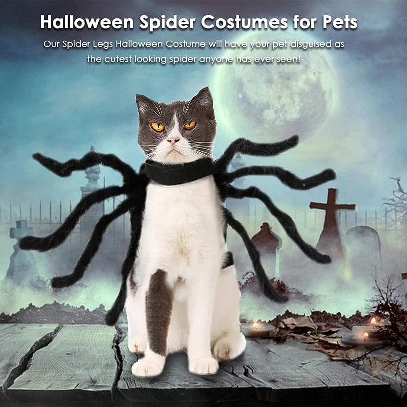 Black Spider Pet Costume - Image 5