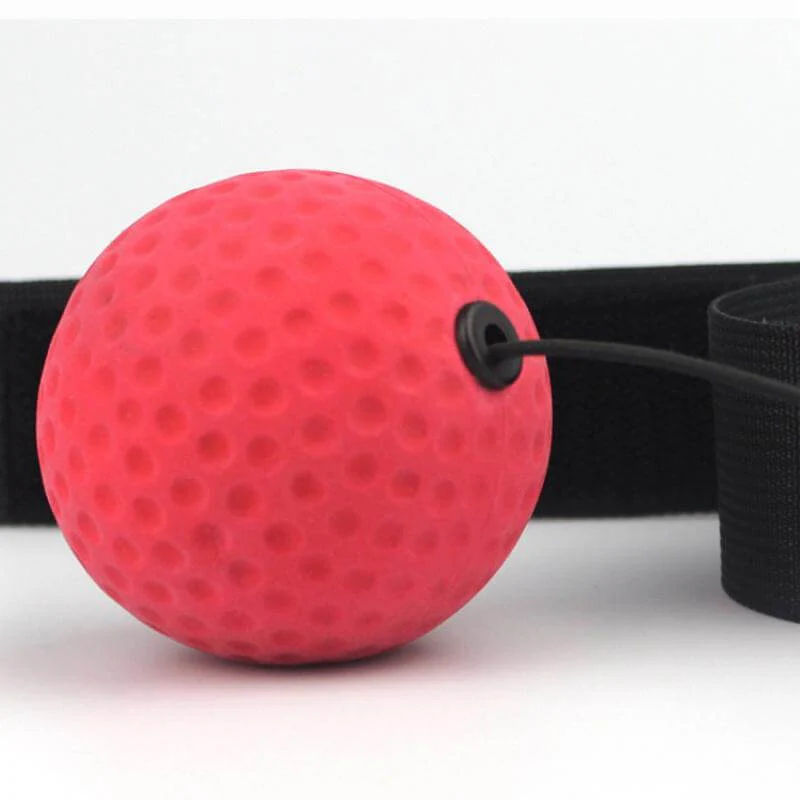 Boxing Fun Training Gadget - Image 3