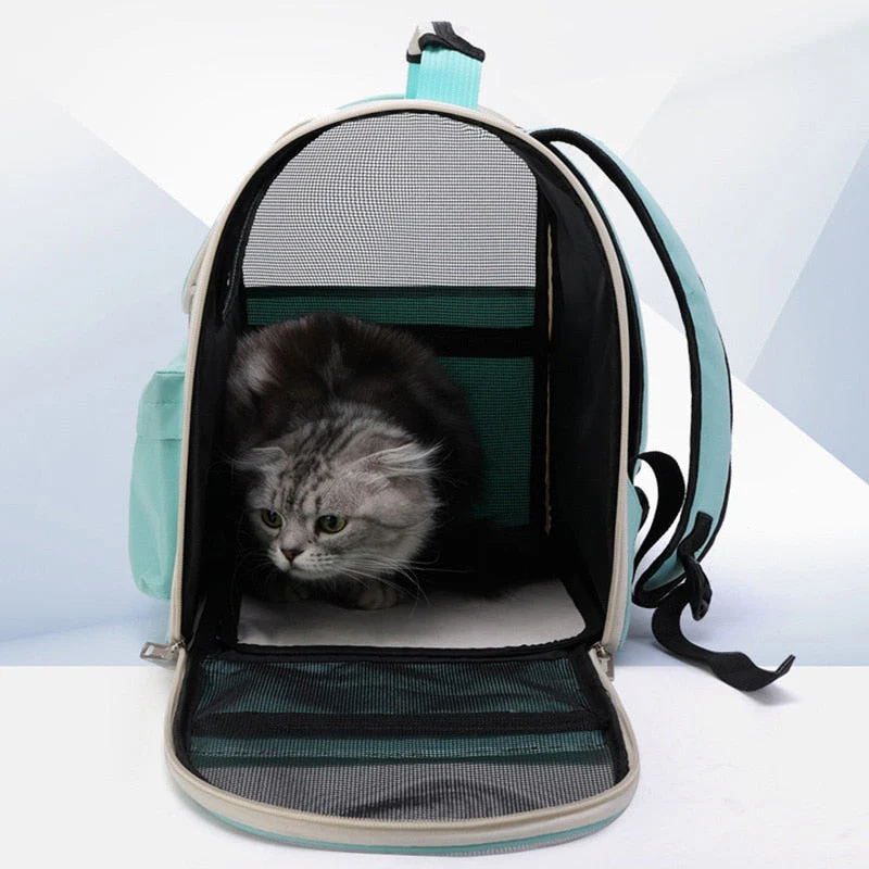 Breathable Transparent Pet Cat Carrier Bag - Image 4