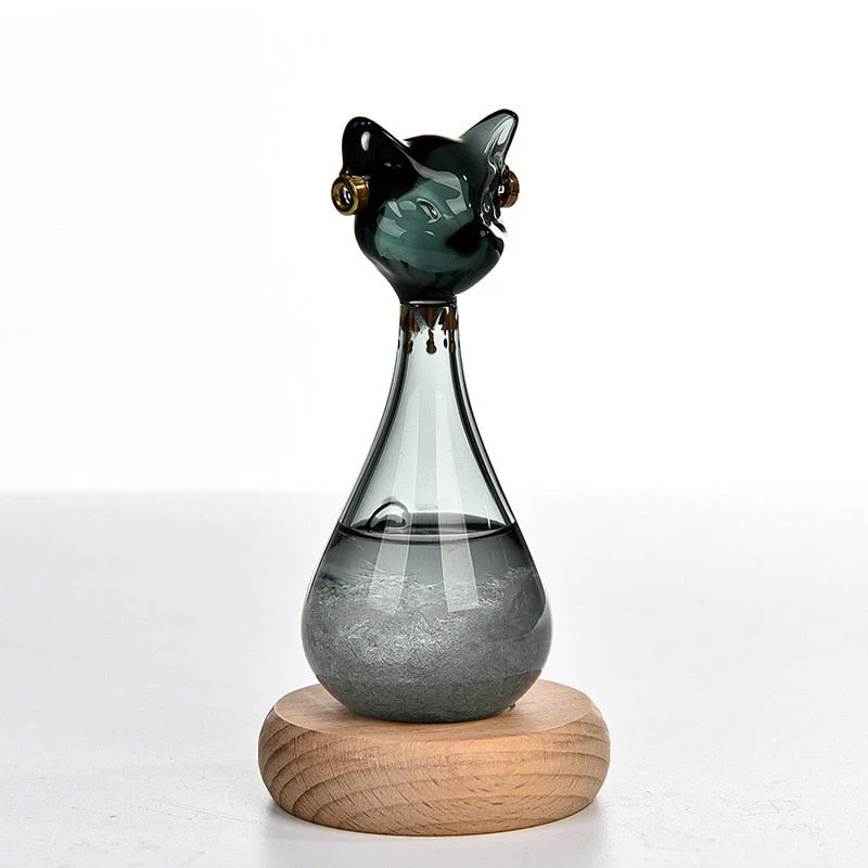 Cat-Inspired Weather Forecast Bottle - Image 6