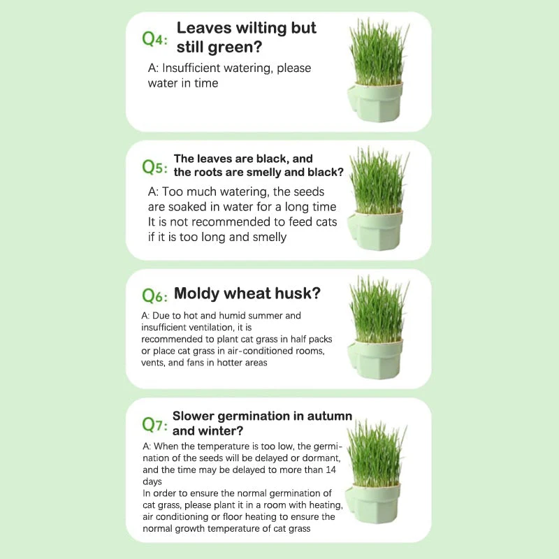 Cat Snack Mint Planting Pot - Image 8
