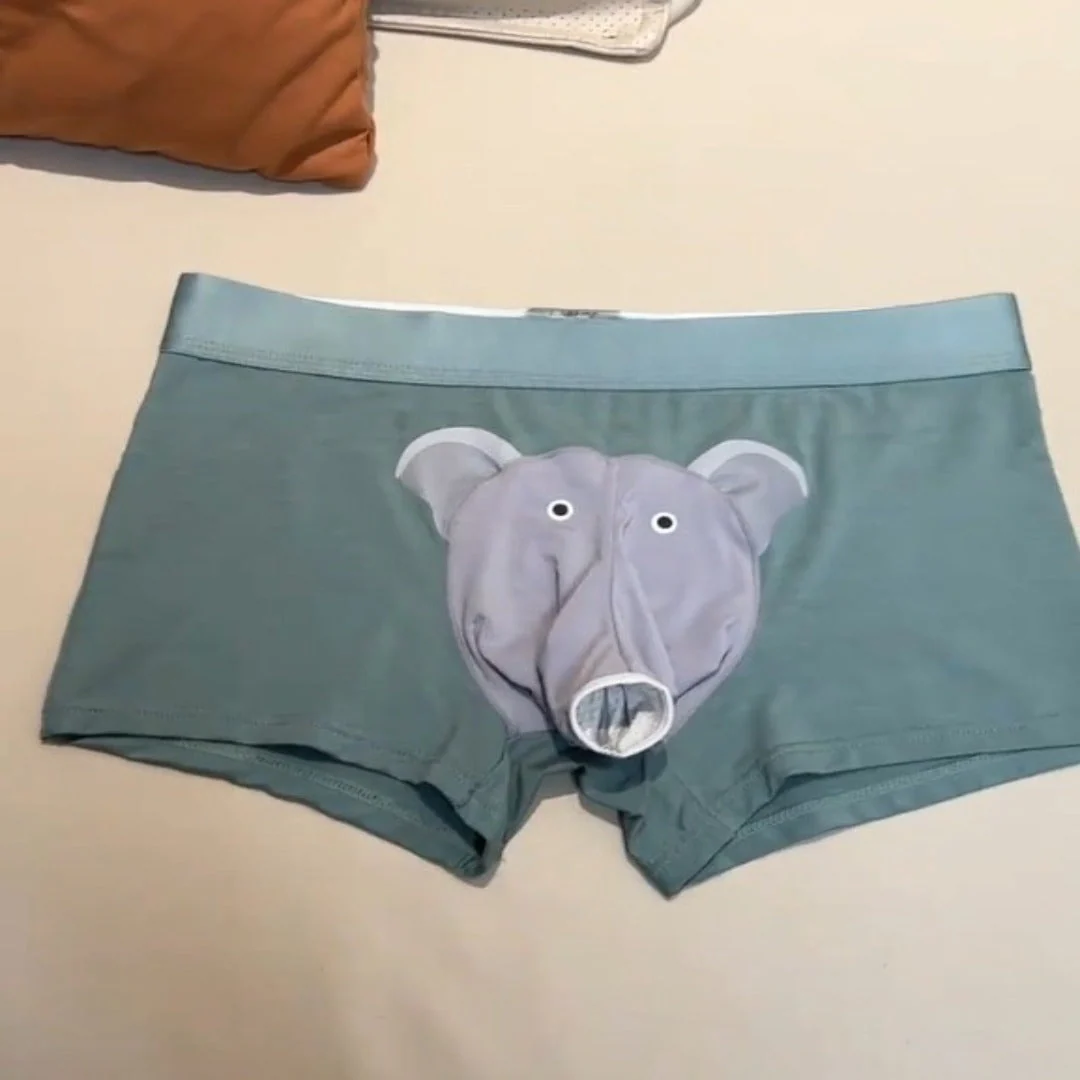 Chill Elephant Ultra-Soft Boxer - Image 3
