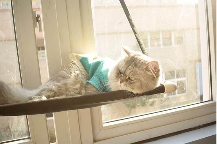 Comfortable Cat Hammock Bed - Image 2