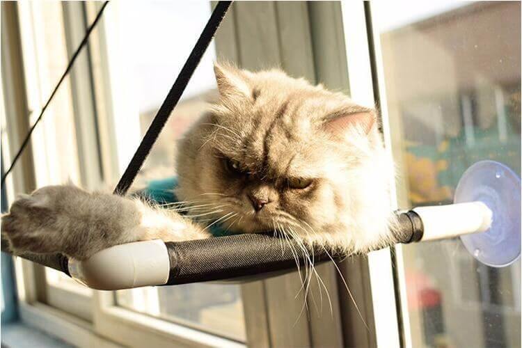 Comfortable Cat Hammock Bed - Image 5