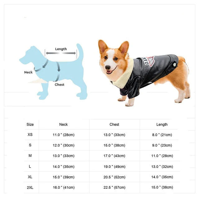 Cool Cute Leather Pet Jacket - Image 15