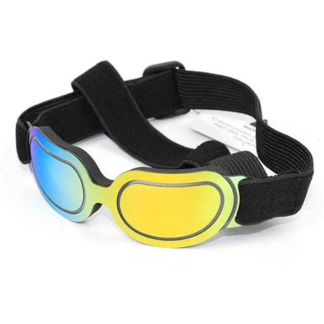 Cool Pet Fashion Helmet & Riding Cap - Image 5