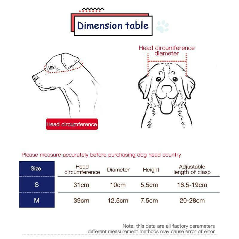 Cool Pet Fashion Helmet & Riding Cap - Image 8
