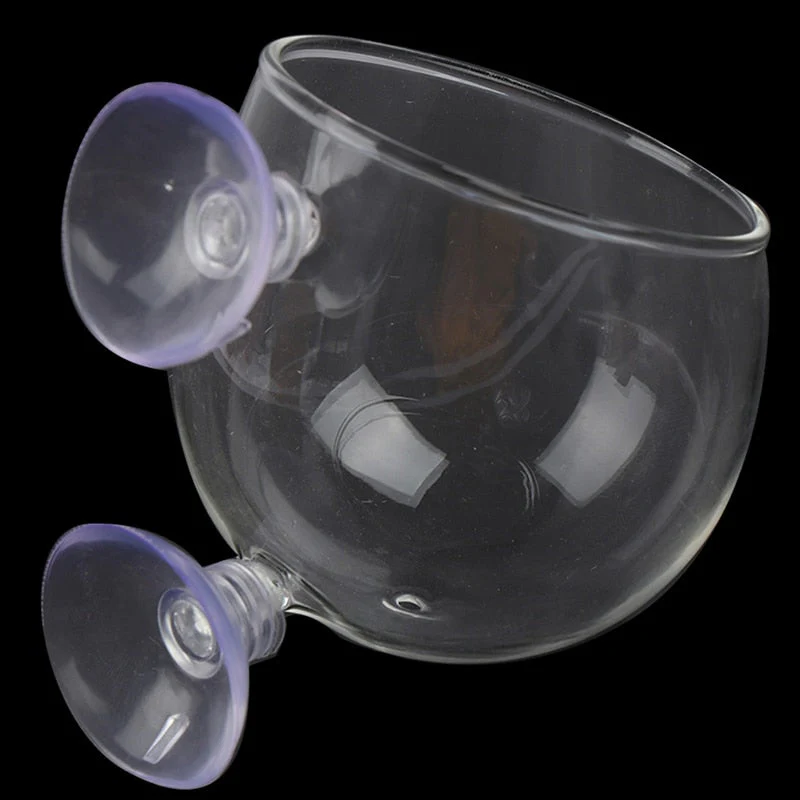 Creative Aquarium Fish Tank Glass Vase - Image 2
