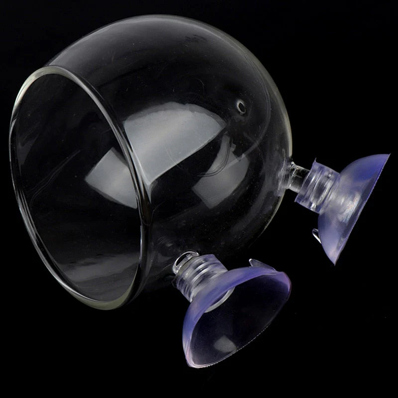 Creative Aquarium Fish Tank Glass Vase - Image 6