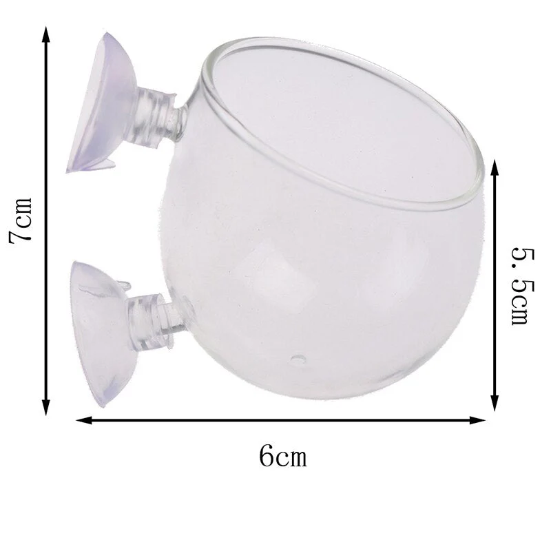 Creative Aquarium Fish Tank Glass Vase - Image 7