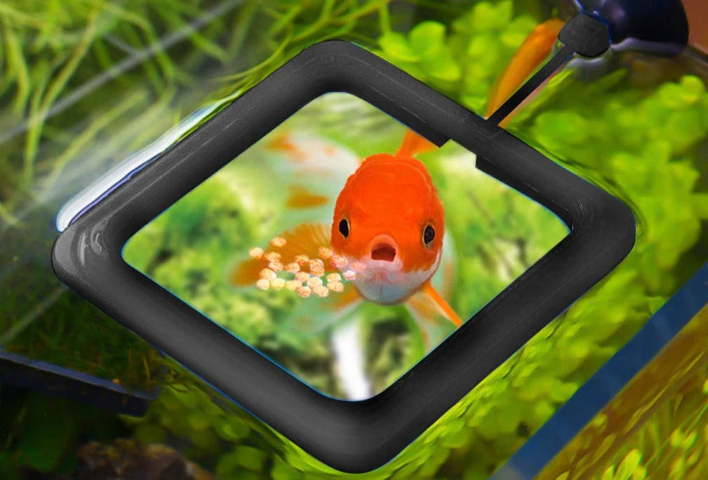 Creative Aquarium Floating Fish Feeder Tray - Image 2
