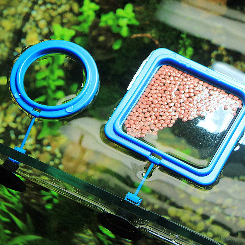 Creative Aquarium Floating Fish Feeder Tray - Image 3