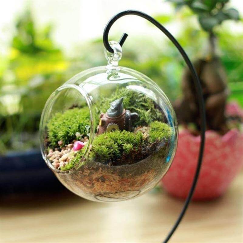 Creative Clear Glass Ball Vase - Image 3