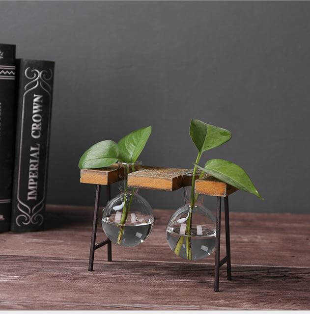 Creative Home Decoration Hydroponic With Iron Feet Plant Vase - Image 2