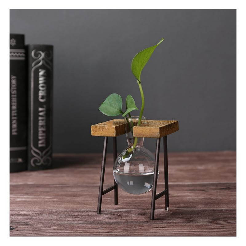 Creative Home Decoration Hydroponic With Iron Feet Plant Vase - Image 3