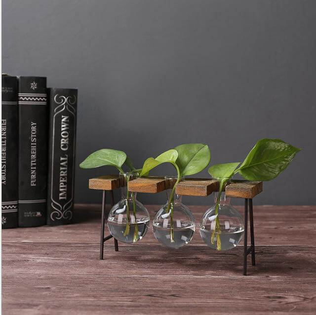 Creative Home Decoration Hydroponic With Iron Feet Plant Vase - Image 4
