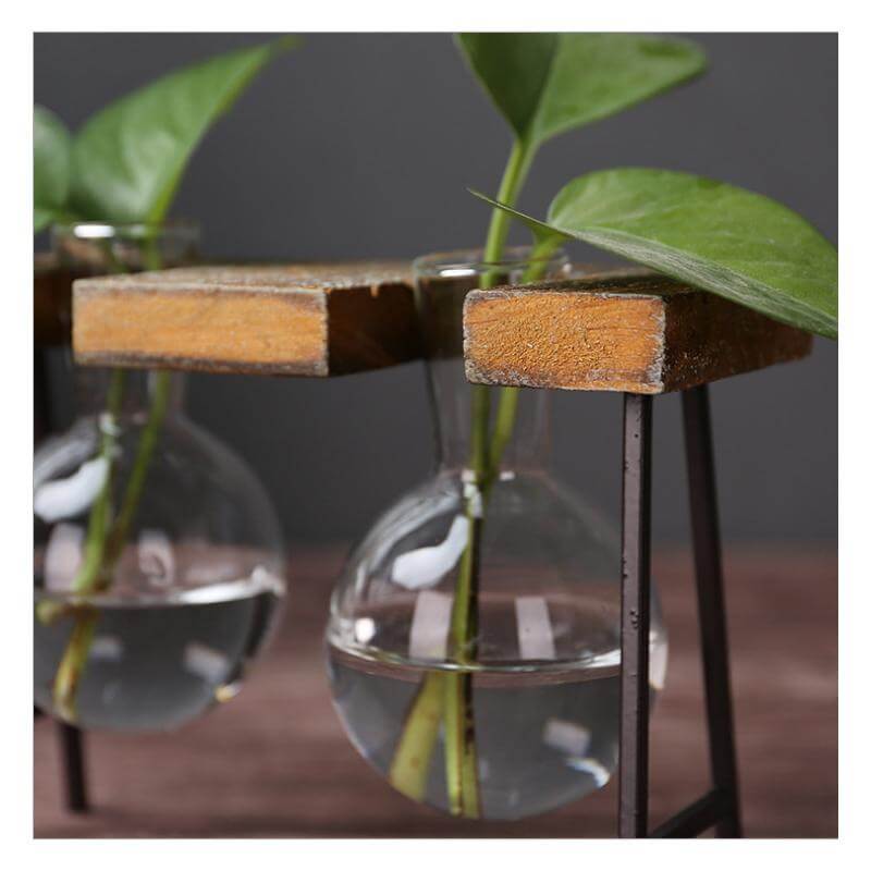 Creative Home Decoration Hydroponic With Iron Feet Plant Vase - Image 5