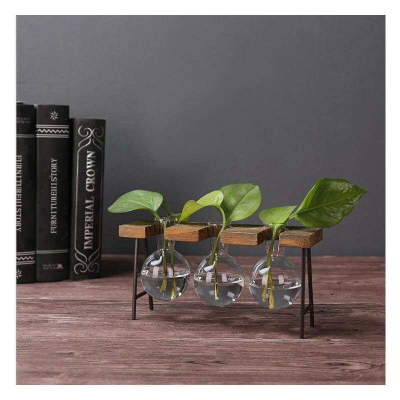 Creative Home Decoration Hydroponic With Iron Feet Plant Vase - Image 6