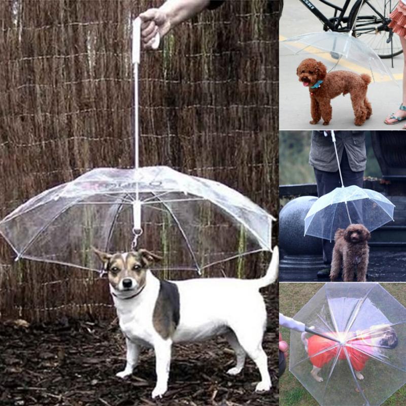 Creative Pet Walking Transparent Umbrella - Image 2