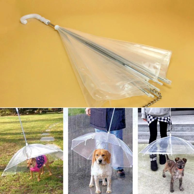 Creative Pet Walking Transparent Umbrella - Image 3