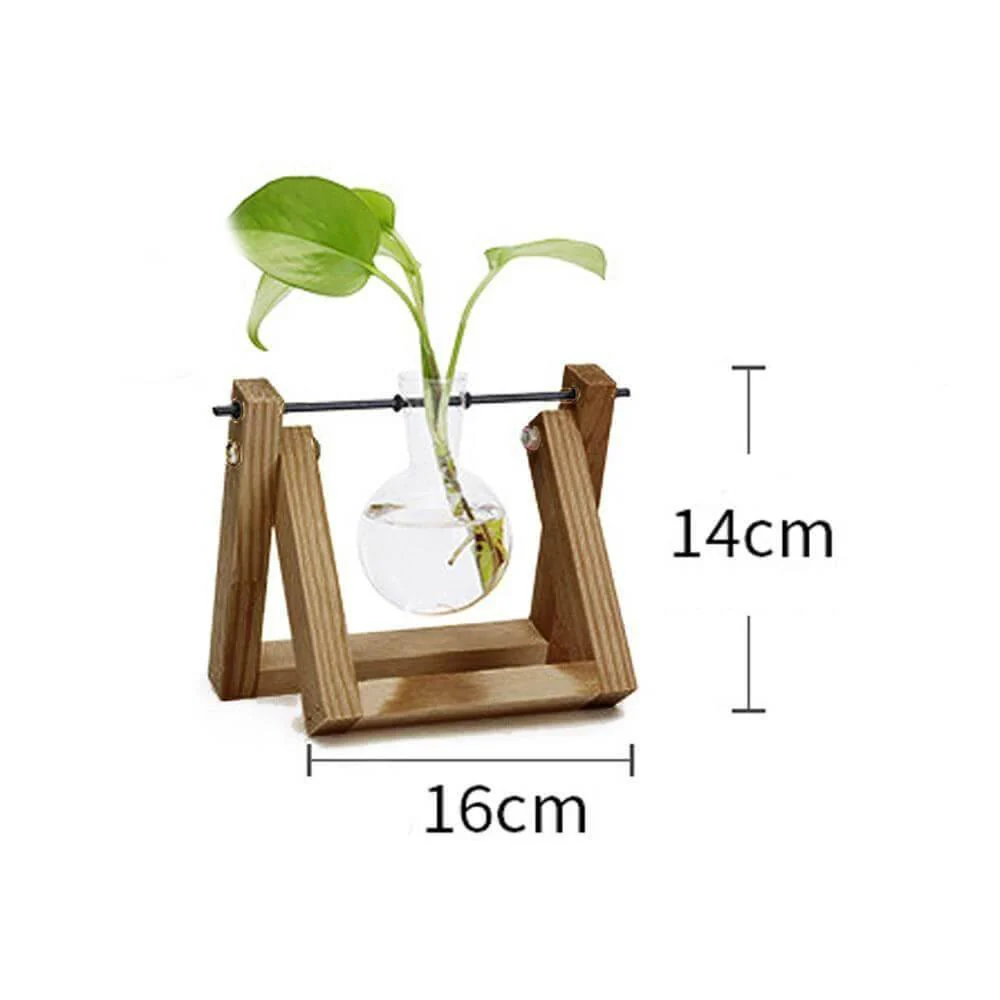 Creative Transparent Wooden Vase Decoration - Image 3