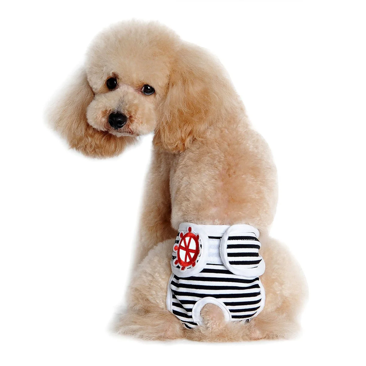 Creative Washable Dog Diaper - Image 5