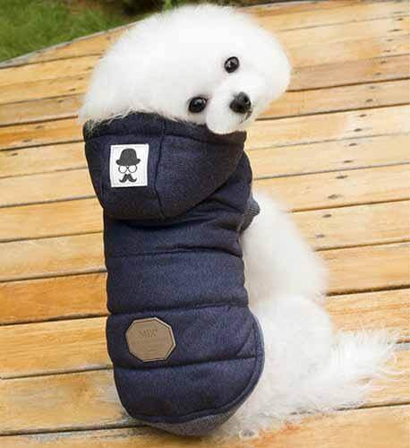 Cute Winter Pet Coat for Cat and Dogs - Image 3