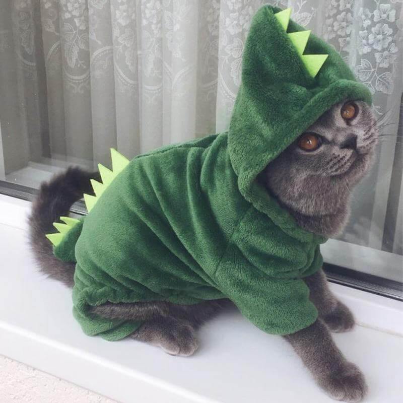 Dinosaur Funny Pet Costume - Image 5