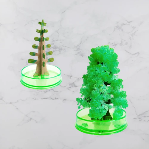 DIY Magic Growing Christmas Tree - Image 11