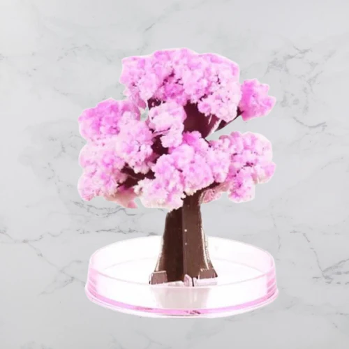DIY Magic Growing Christmas Tree - Image 14