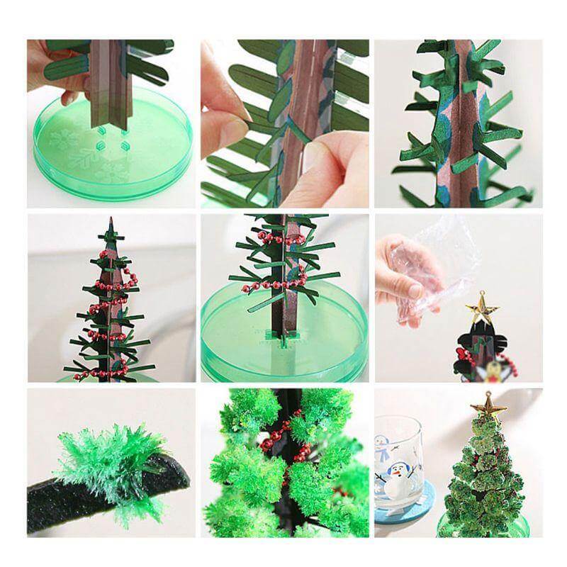DIY Magic Growing Christmas Tree - Image 2