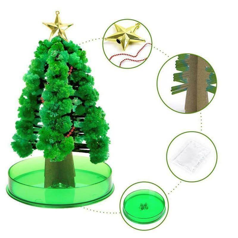 DIY Magic Growing Christmas Tree - Image 3