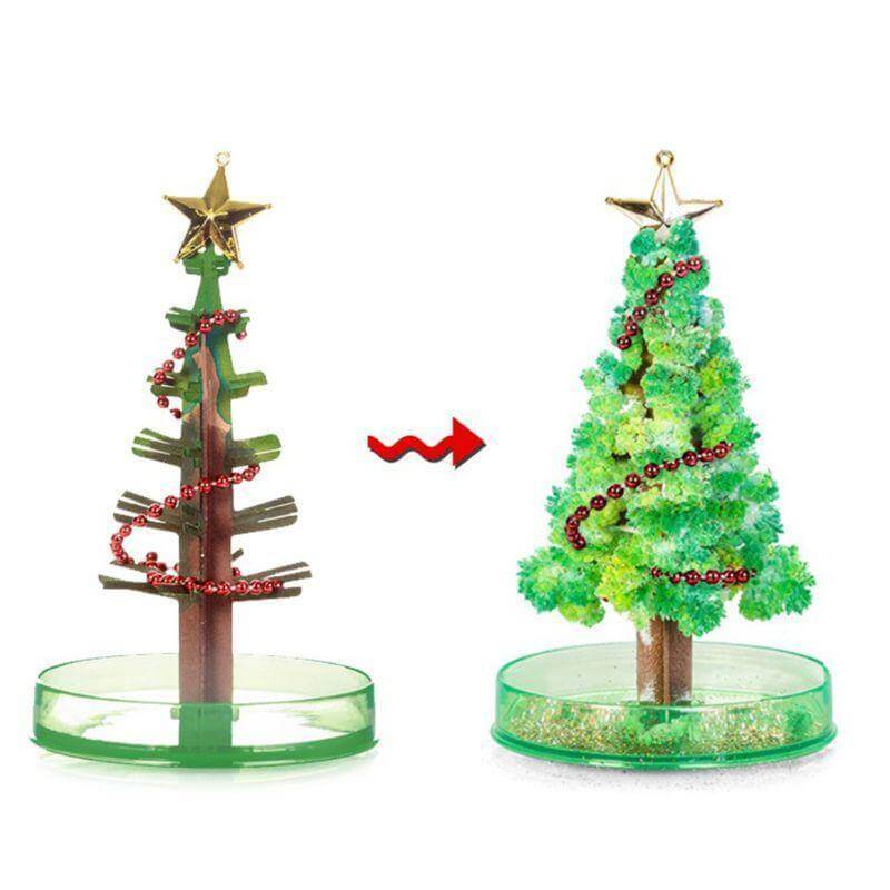 DIY Magic Growing Christmas Tree - Image 4