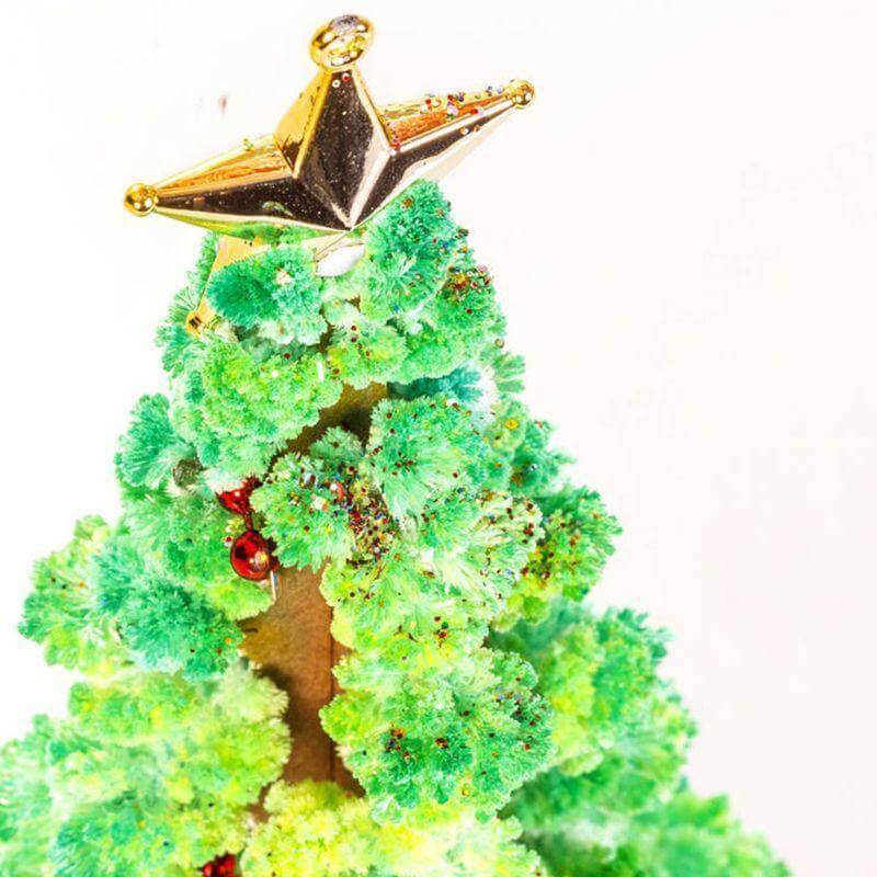 DIY Magic Growing Christmas Tree - Image 5