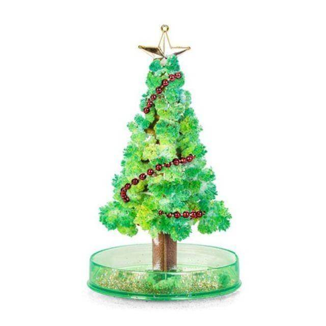 DIY Magic Growing Christmas Tree - Image 9