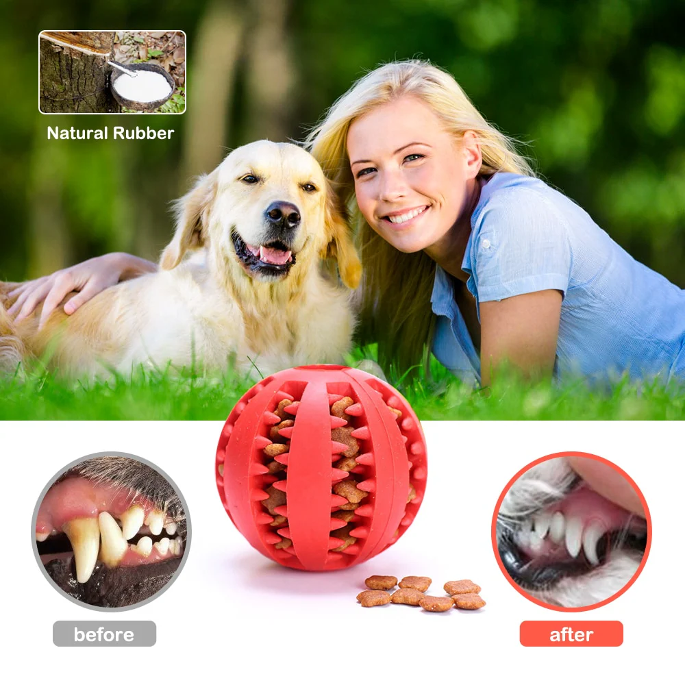 Dog Interactive Tooth Cleaning Toy Balls - Image 2