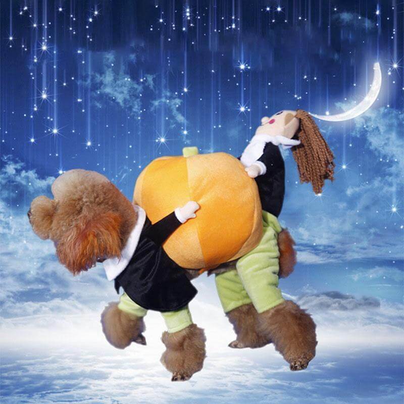 Dog Pumpkin Costume - Image 3