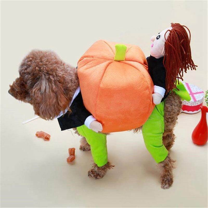 Dog Pumpkin Costume - Image 4