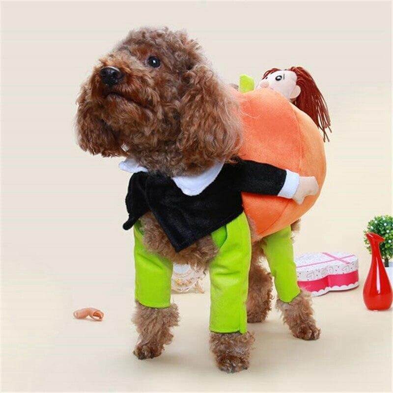 Dog Pumpkin Costume - Image 5