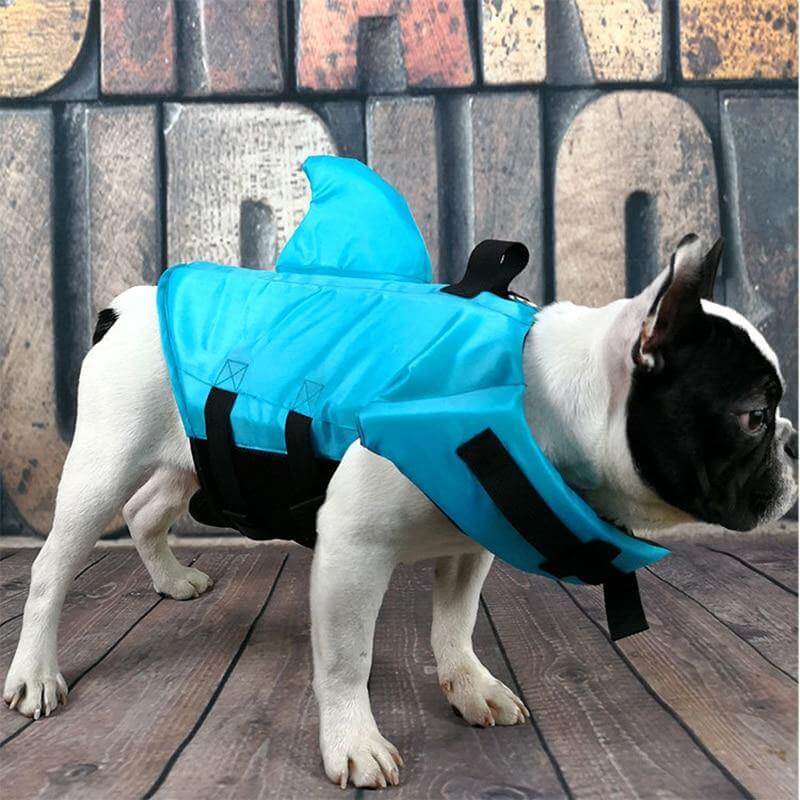 Dog Shark Pet Swimming Life Jacket - Image 3