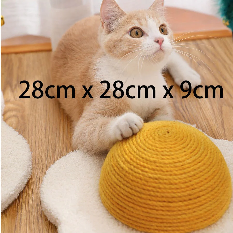 Egg Carrot Cat Scratching Board - Image 4